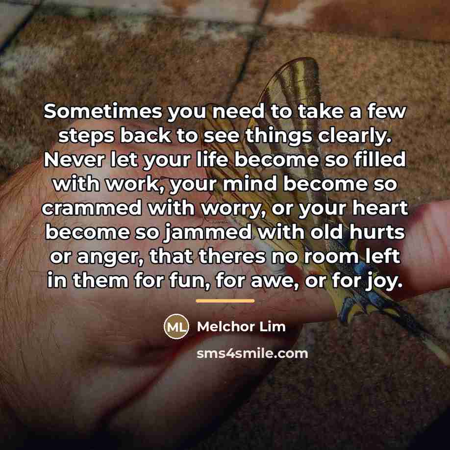 “Sometimes you need to take a few steps back to…” quote by Melchor Lim
