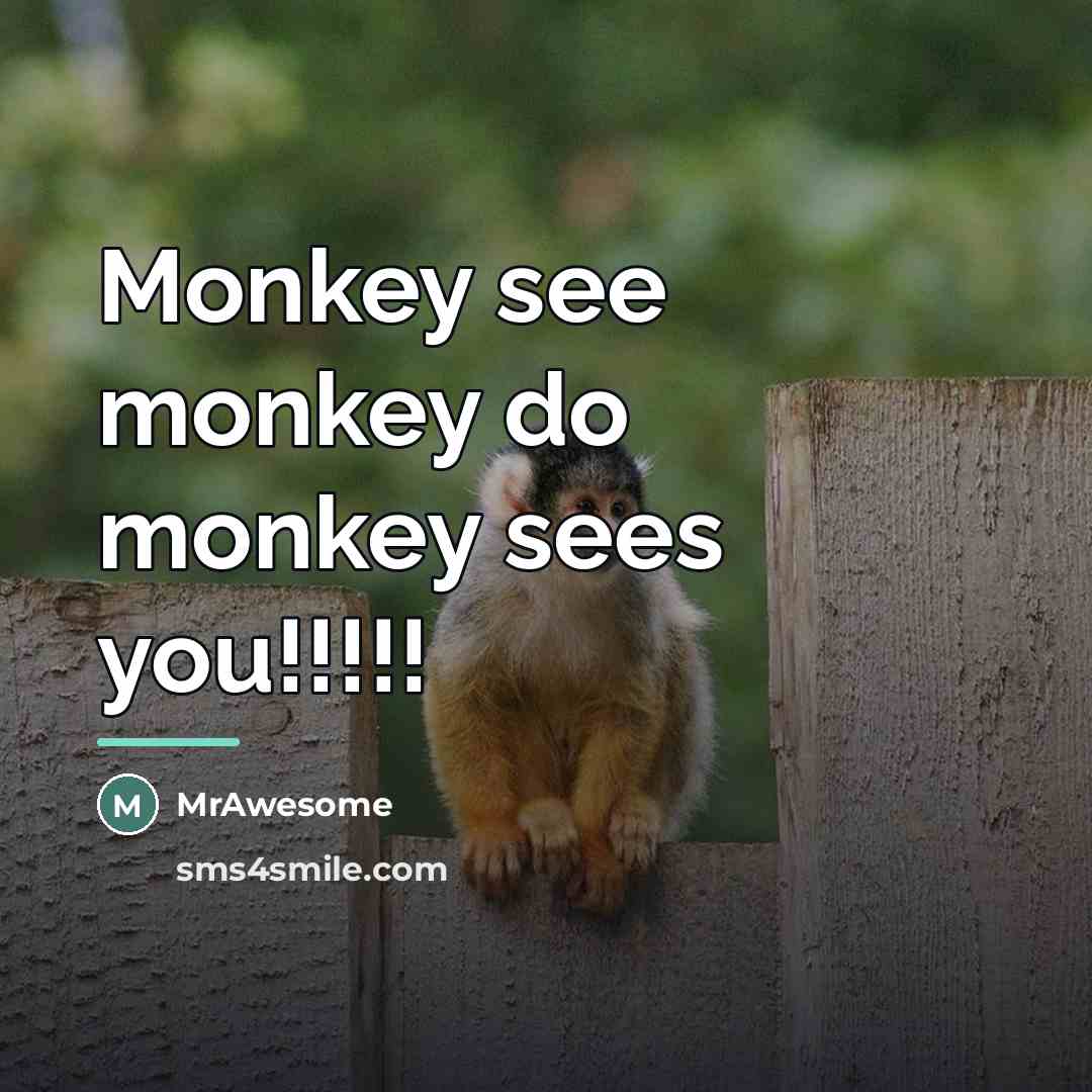 “Monkey see monkey do monkey sees you!!!!!…” quote by MrAwesome