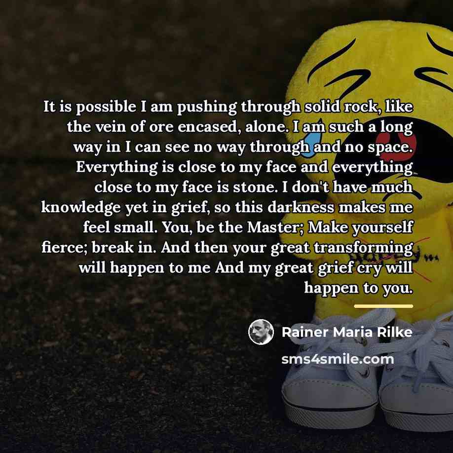 “It is possible I am pushing through solid rock, like…” quote by Rainer Maria Rilke