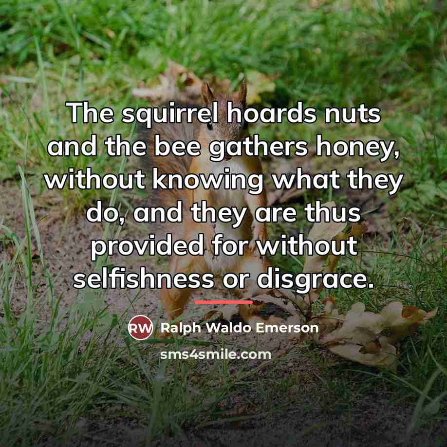 “The squirrel hoards nuts and the bee gathers honey, without…” quote by Ralph Waldo Emerson