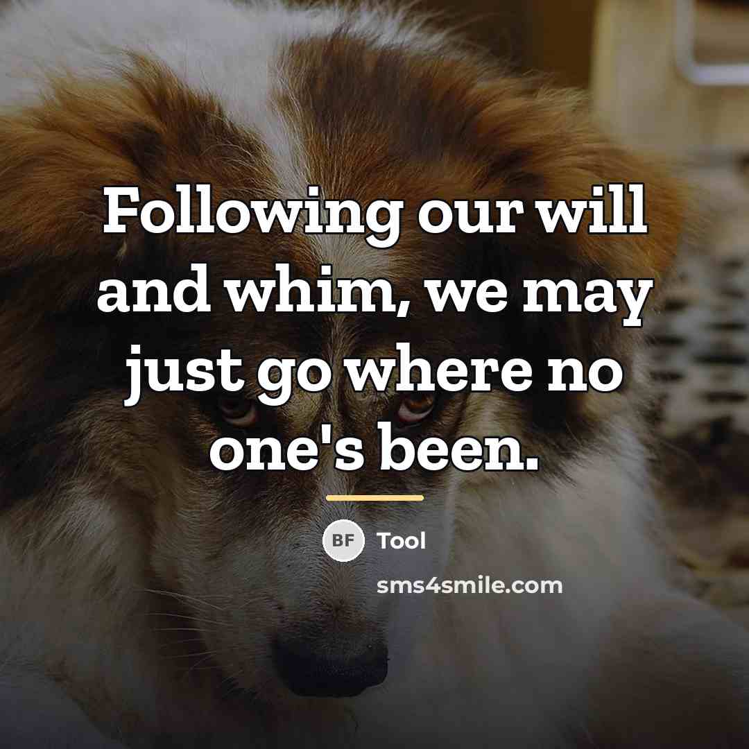 “Following our will and whim, we may just go where…” quote by Tool