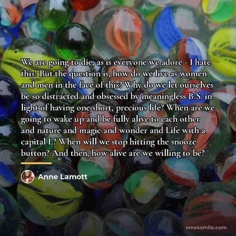 “We are going to die, as is everyone we adore…” quote by Anne Lamott