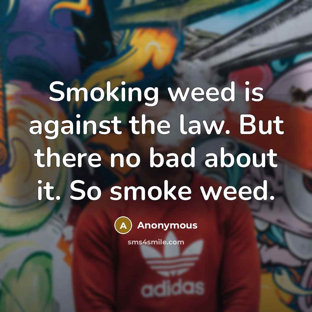 “Smoking weed is against the law. But there no bad…” quote by Anonymous