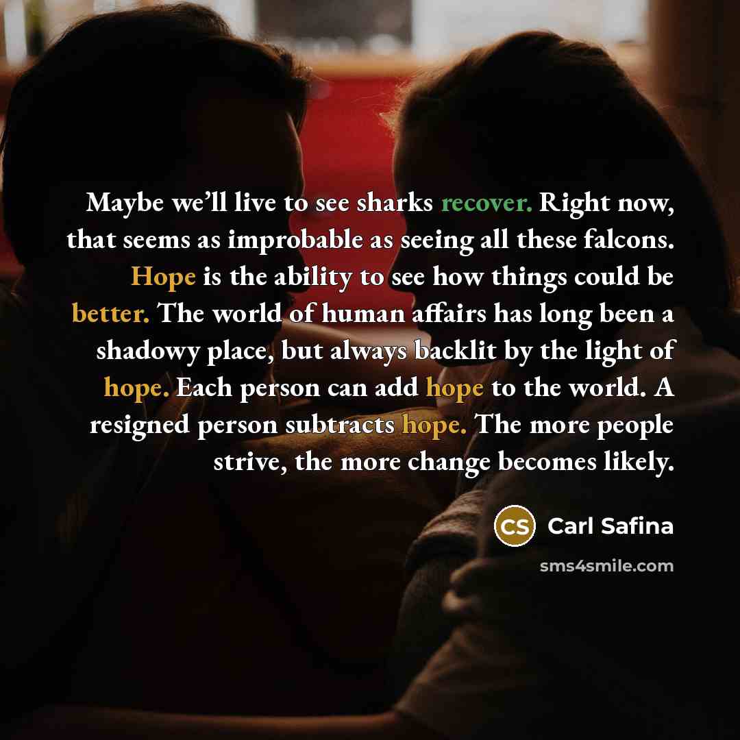 “Maybe we’ll live to see sharks recover. Right now, that…” quote by Carl Safina