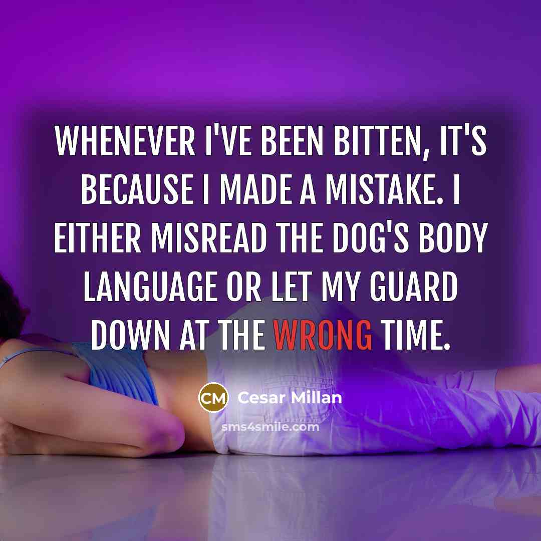 “Whenever I've been bitten, it's because I made a mistake. I either misread the dog's body language or let my guard down at the wrong time.” quote by Cesar Millan