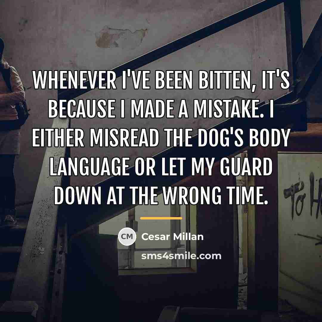 “Whenever I've been bitten, it's because I made a mistake.…” quote by Cesar Millan