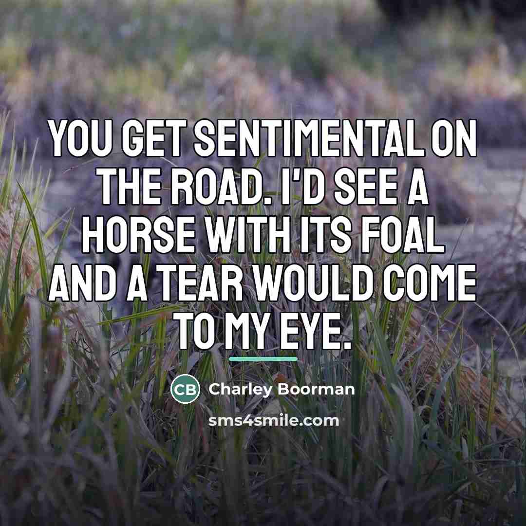 “You get sentimental on the road. I'd see a horse…” quote by Charley Boorman
