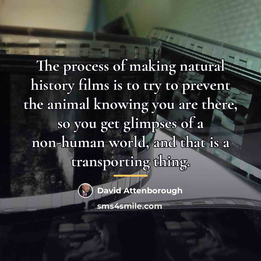 “The process of making natural history films is to try…” quote by David Attenborough