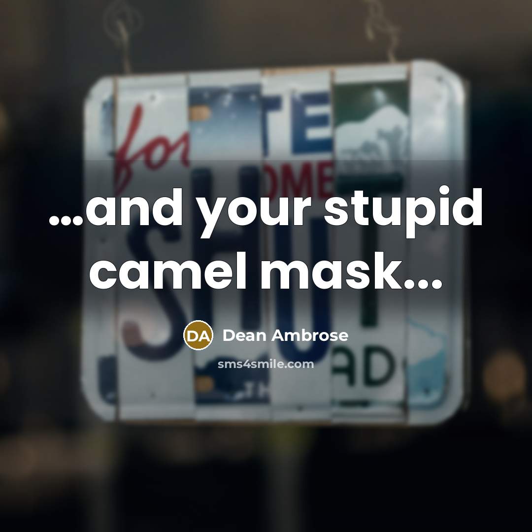 “....and your stupid camel mask...…” quote by Dean Ambrose