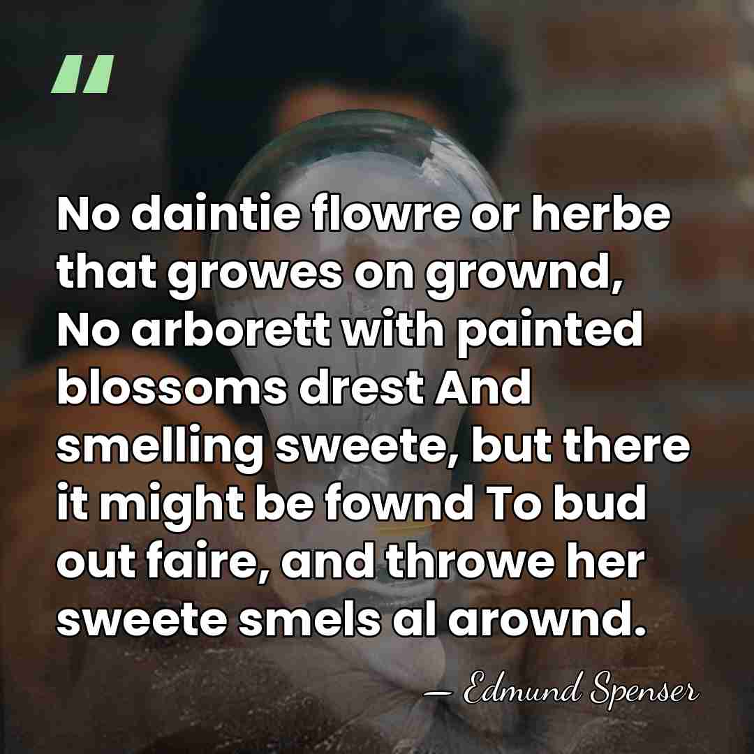 No daintie flowre or herbe that growes on grownd, No arborett with&hellip; - Edmund Spenser