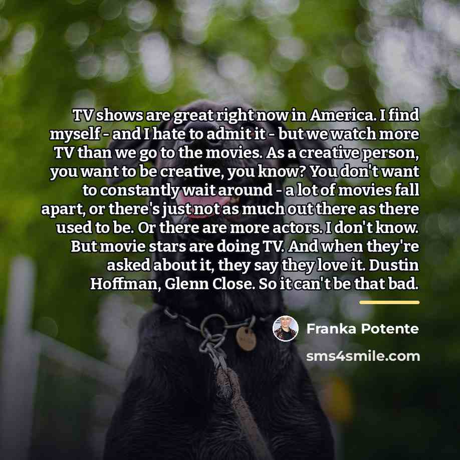 “TV shows are great right now in America. I find…” quote by Franka Potente
