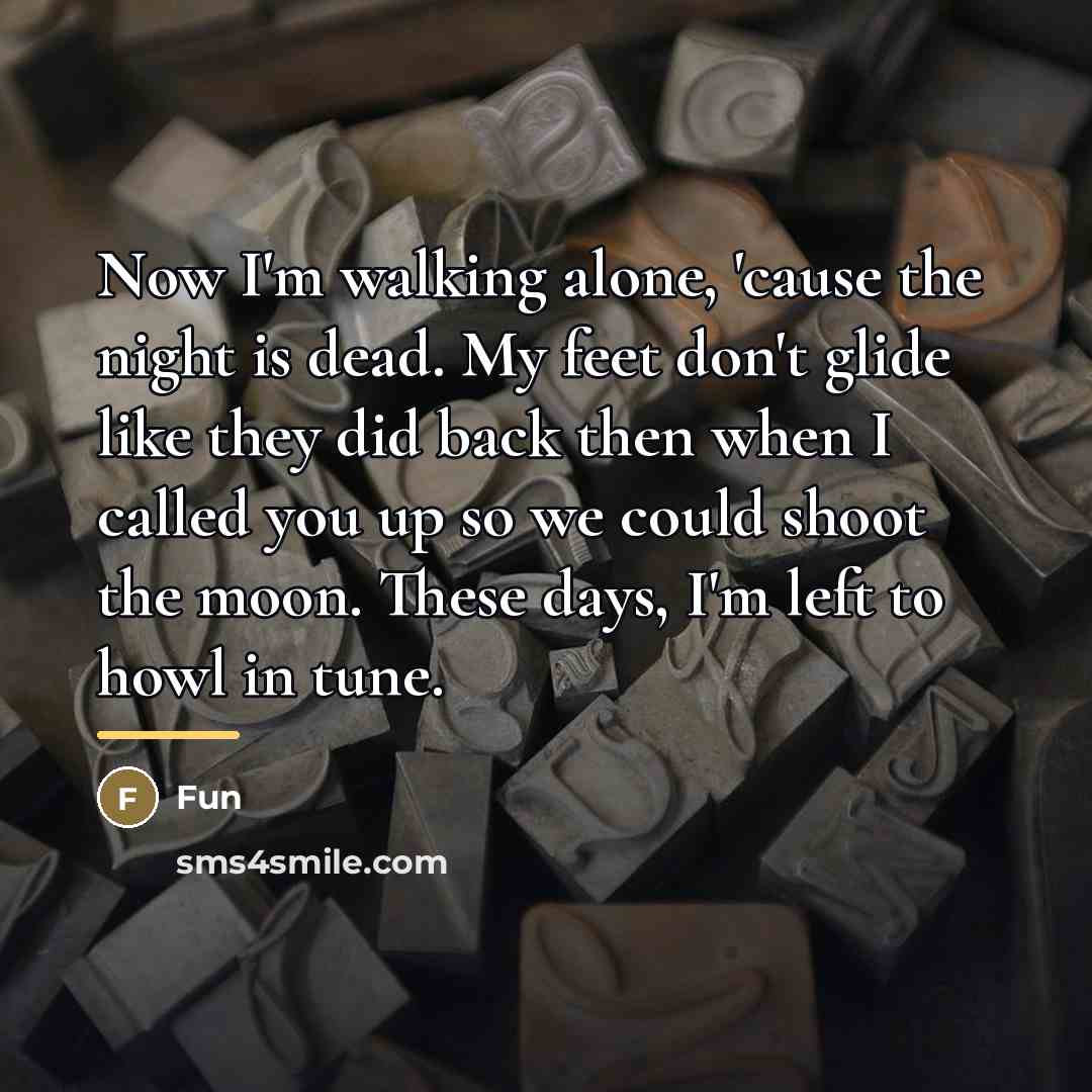 “Now I'm walking alone, 'cause the night is dead. My…” quote by Fun