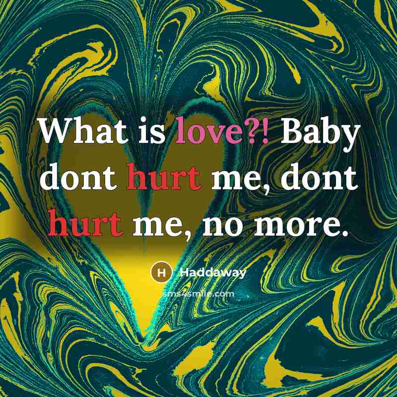 “What is love?! Baby dont hurt me, dont hurt me, no more.” quote by Haddaway
