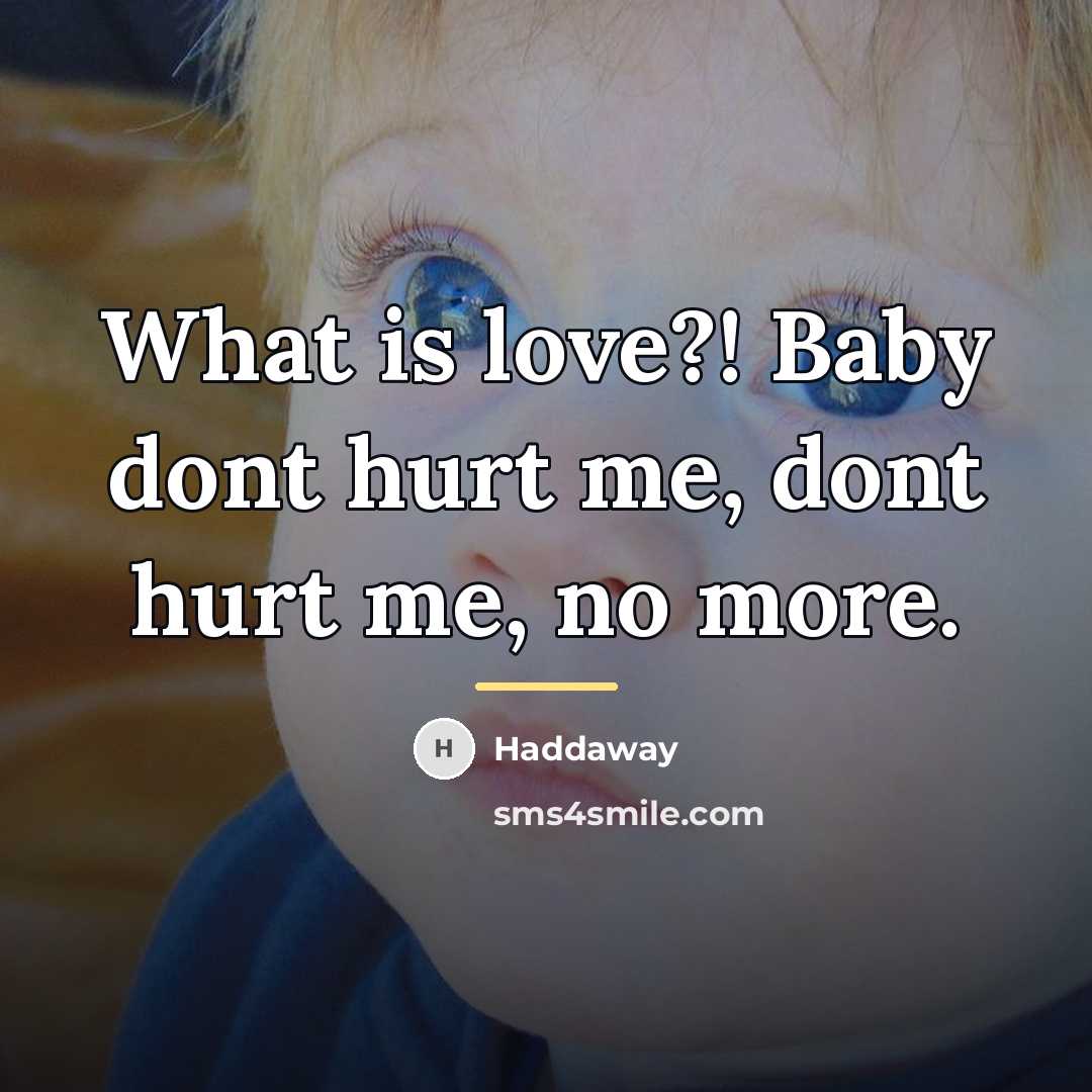 “What is love?! Baby dont hurt me, dont hurt me,…” quote by Haddaway