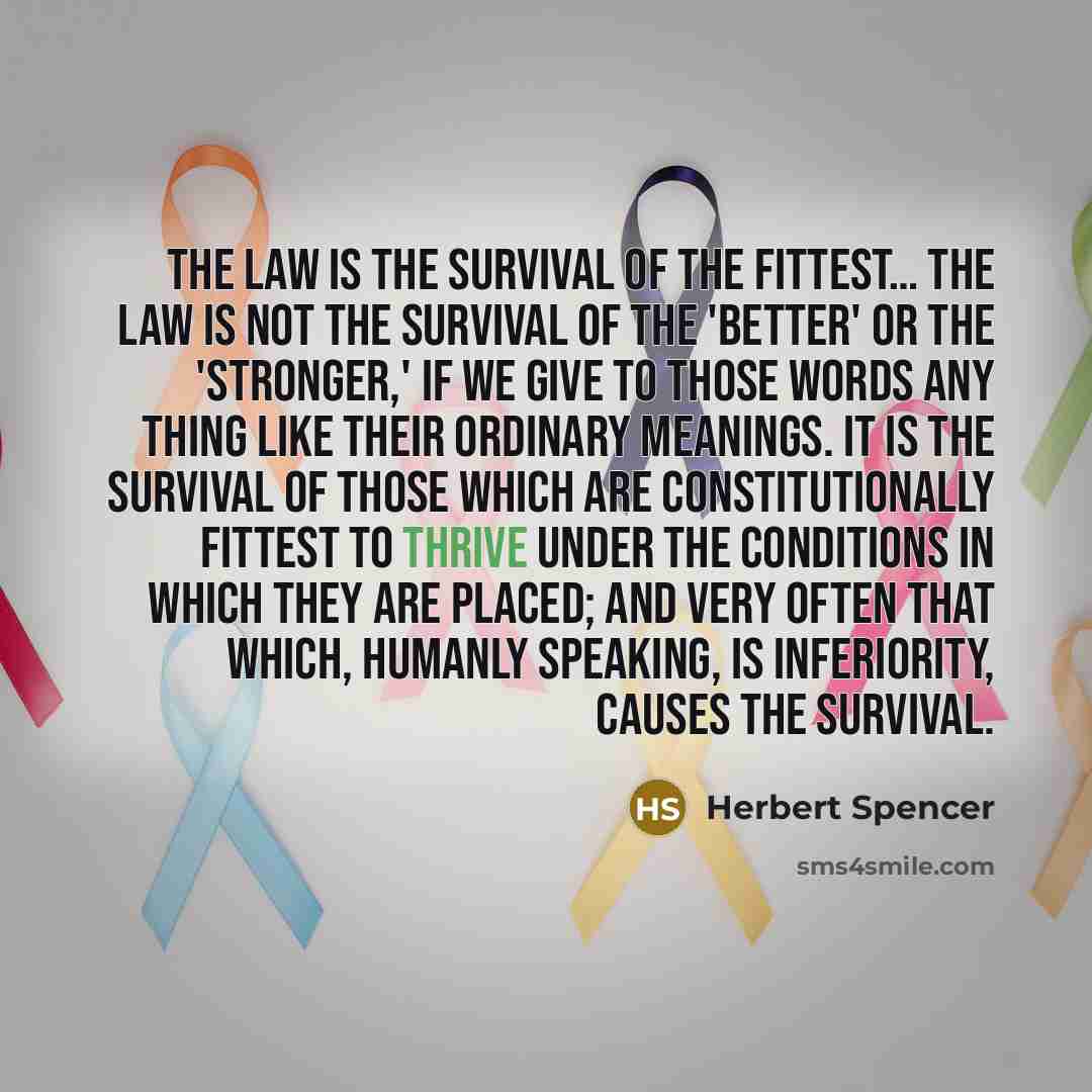 “The law is the survival of the fittest.... The law…” quote by Herbert Spencer