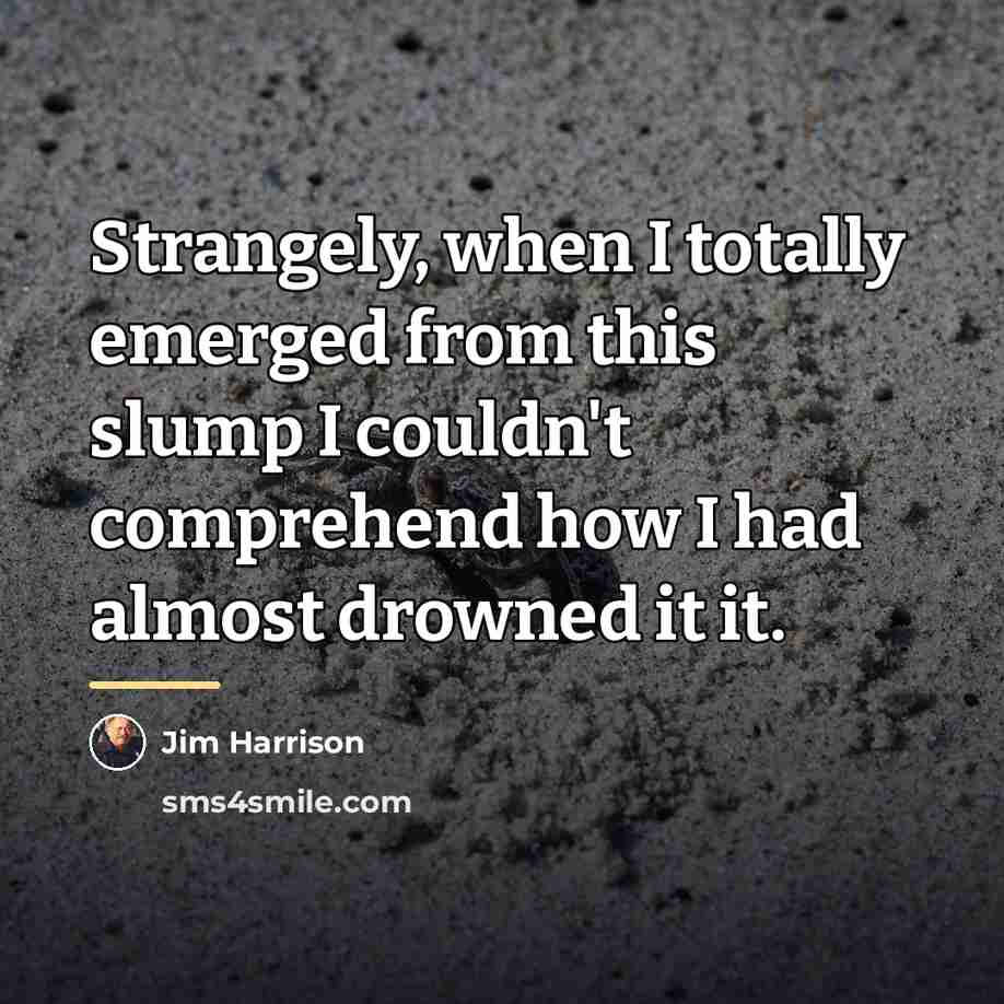“Strangely, when I totally emerged from this slump I couldn't…” quote by Jim Harrison