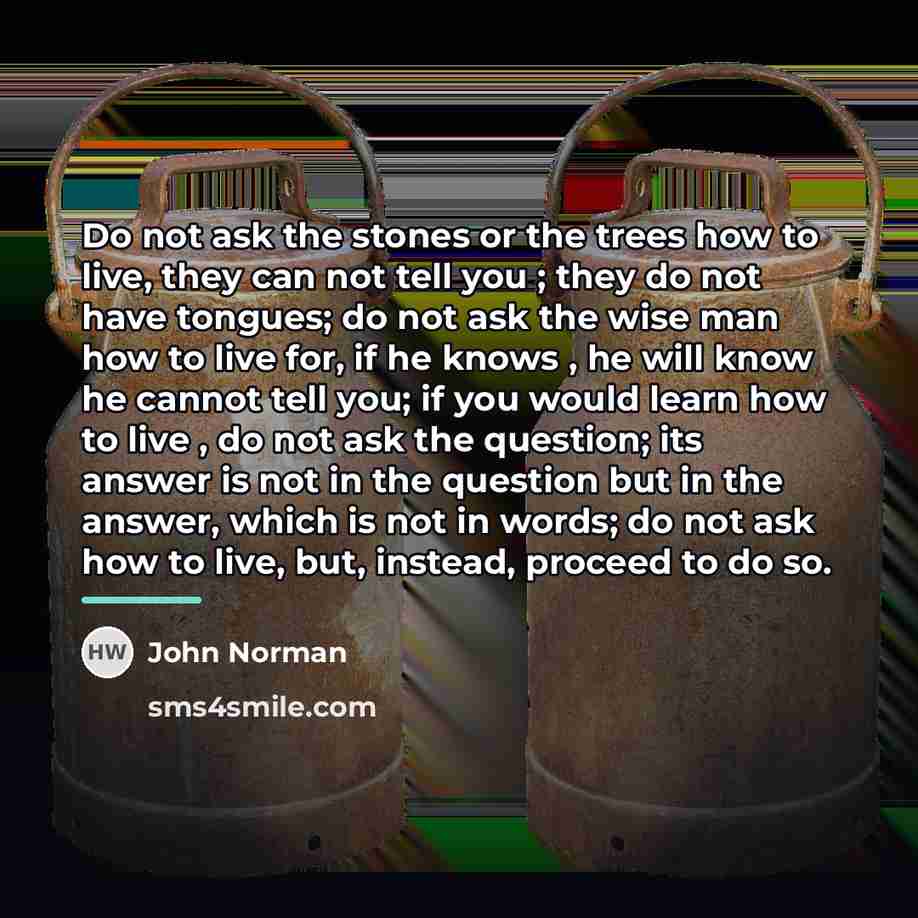 “Do not ask the stones or the trees how to…” quote by John Norman