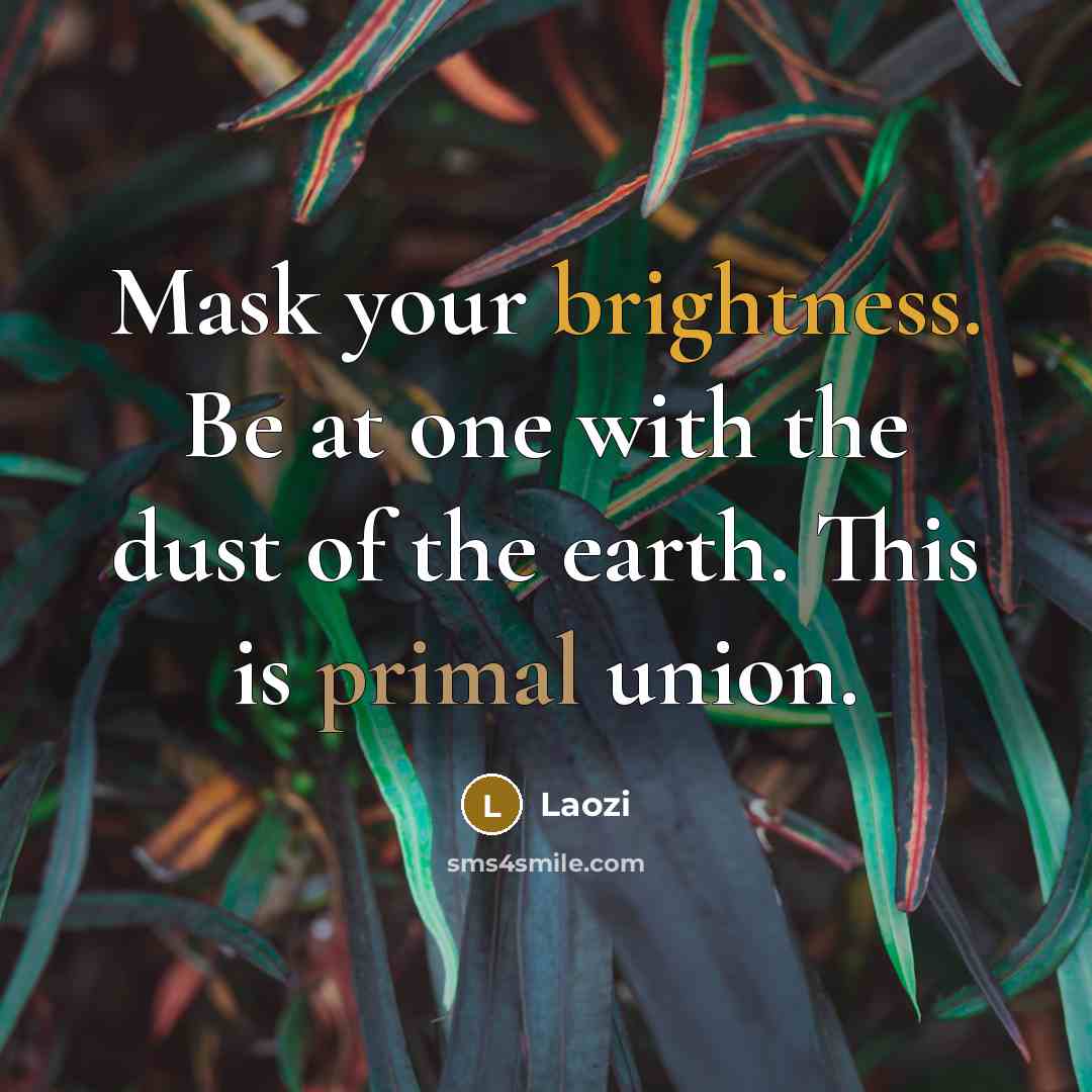 “Mask your brightness. Be at one with the dust of…” quote by Laozi