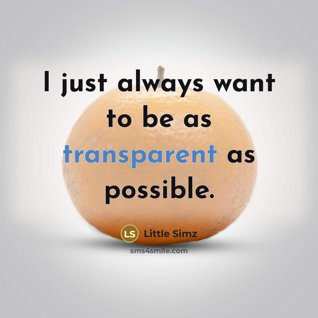 “I just always want to be as transparent as possible.…” quote by Little Simz
