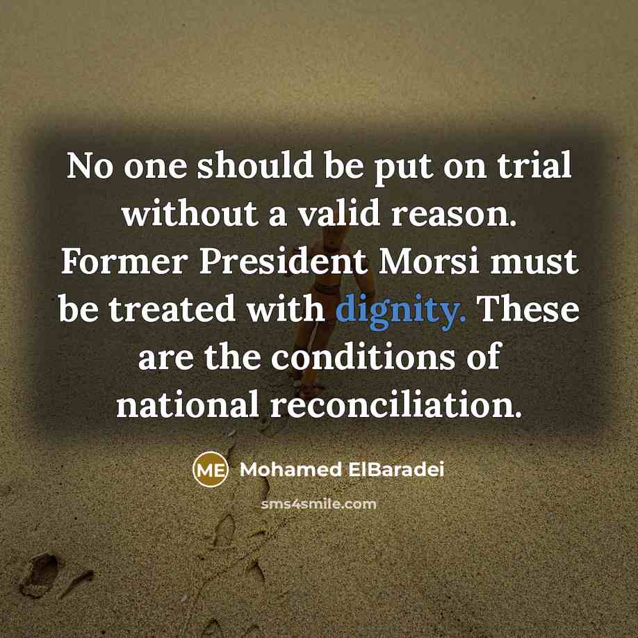 “No one should be put on trial without a valid…” quote by Mohamed ElBaradei