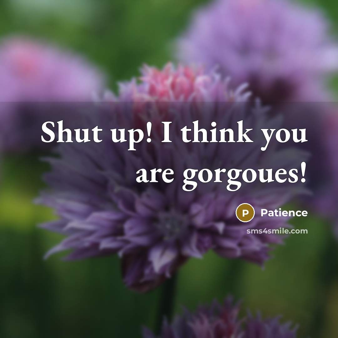 “Shut up! I think you are gorgoues!…” quote by Patience
