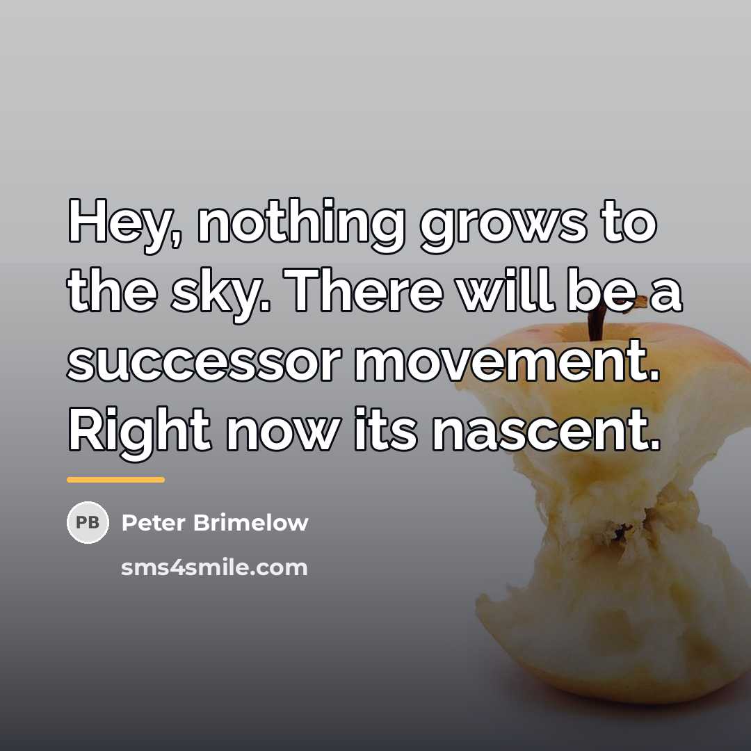 “Hey, nothing grows to the sky. There will be a…” quote by Peter Brimelow