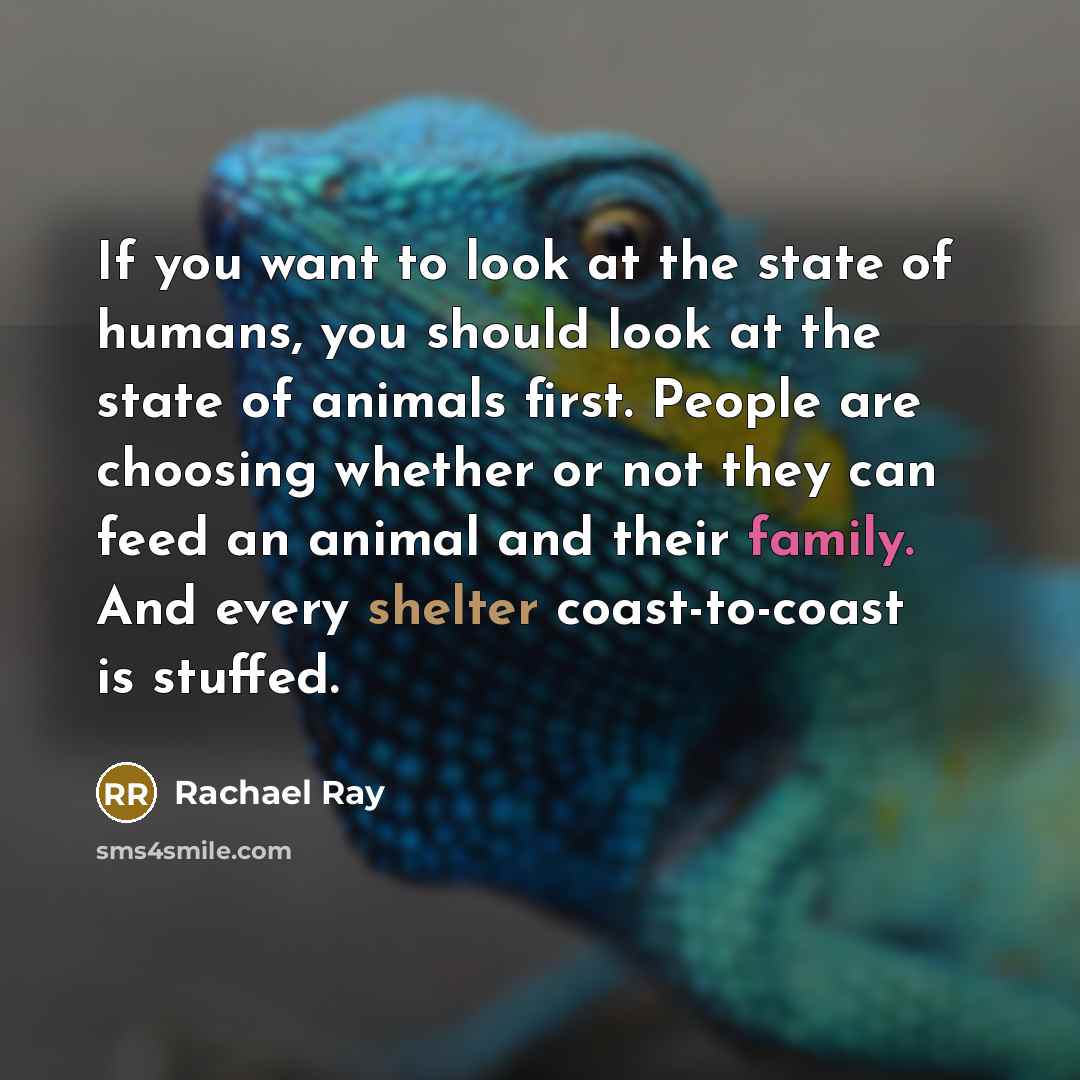 “If you want to look at the state of humans,…” quote by Rachael Ray