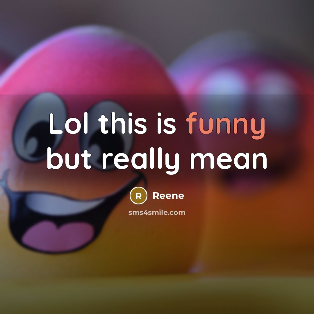 “Lol this is funny but really mean…” quote by Reene