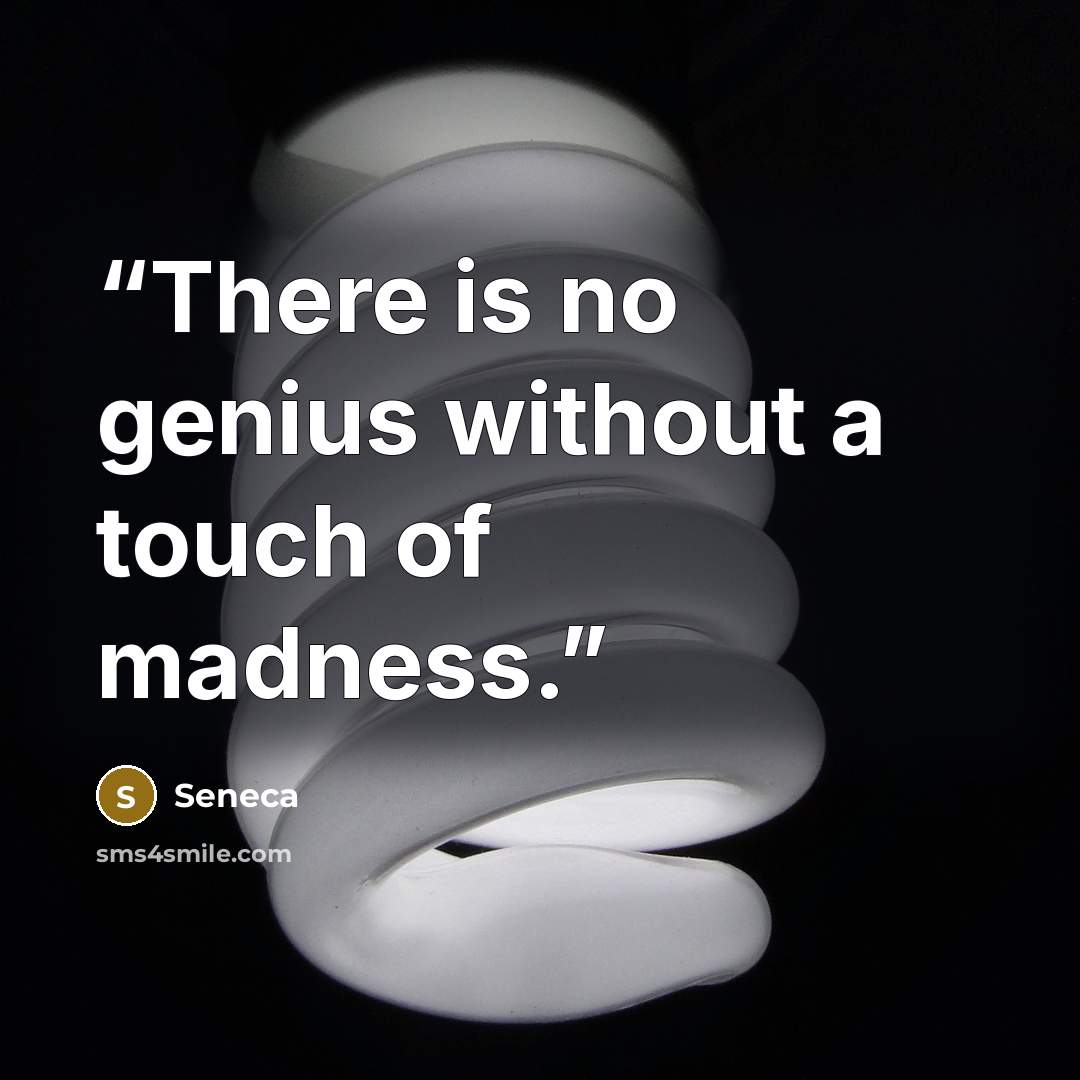 “There is no genius without a touch of madness.” quote by Seneca