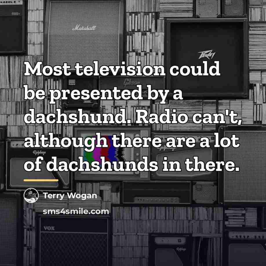“Most television could be presented by a dachshund. Radio can't,…” quote by Terry Wogan