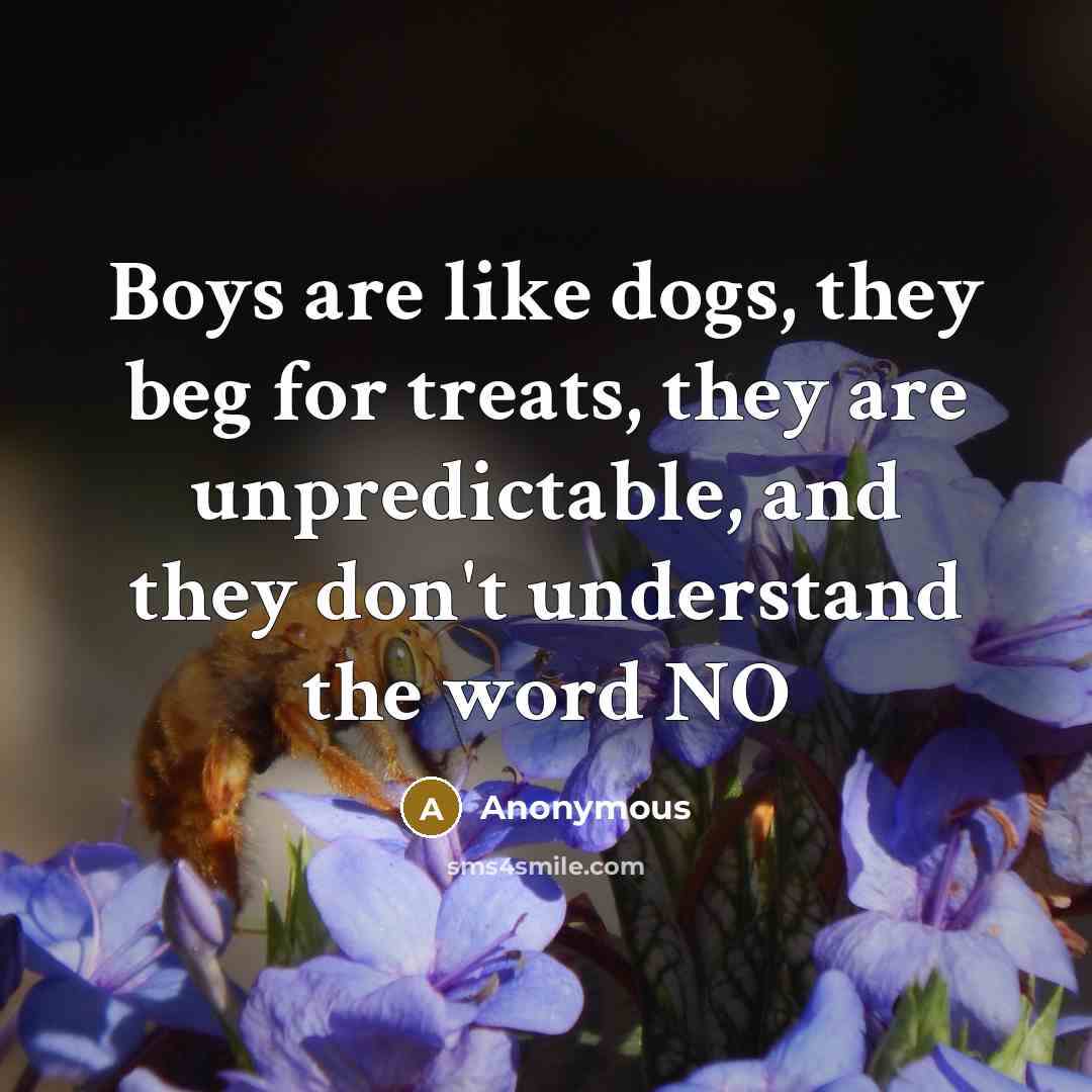 “Boys are like dogs, they beg for treats, they are…” quote by Anonymous