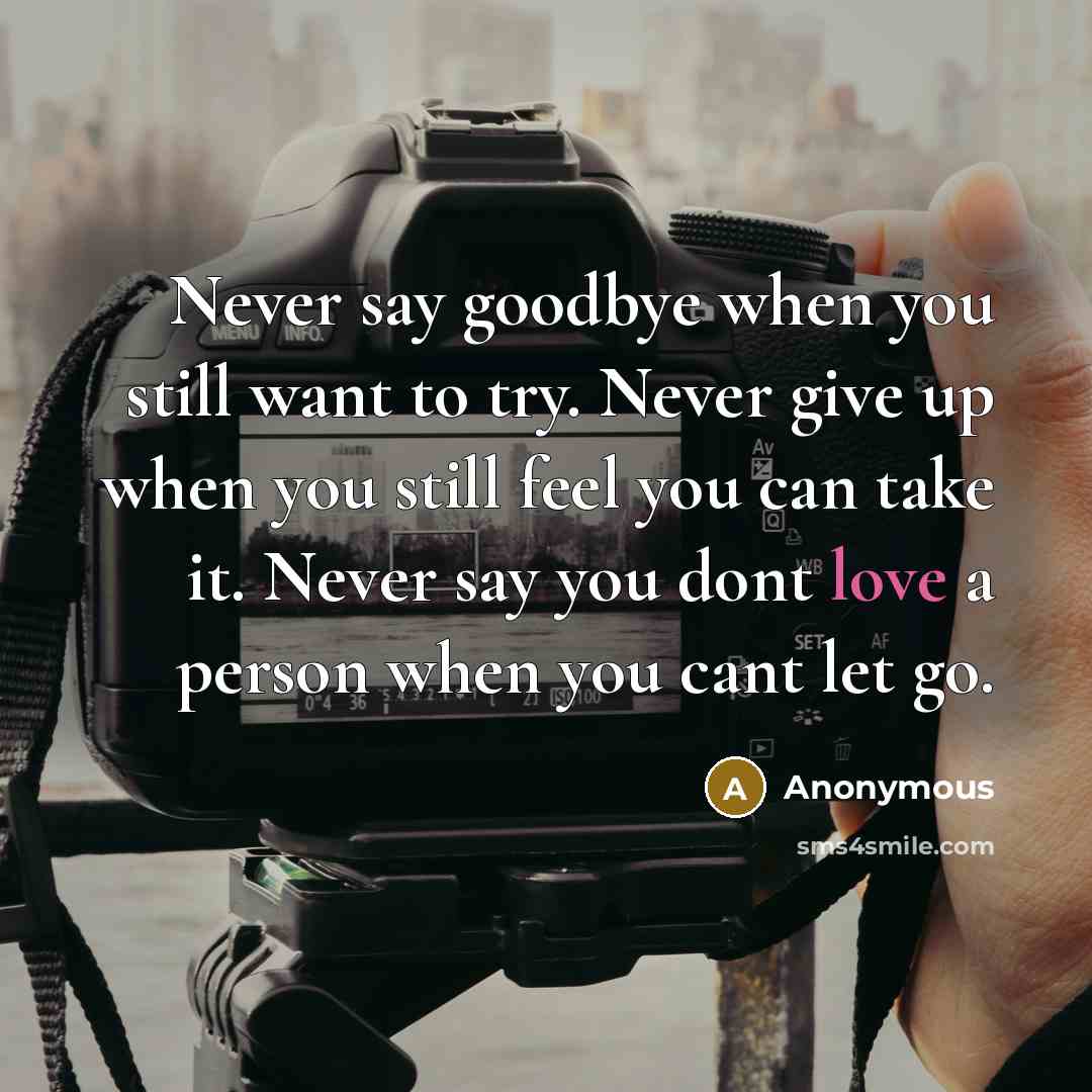 “Never say goodbye when you still want to try. Never…” quote by Anonymous