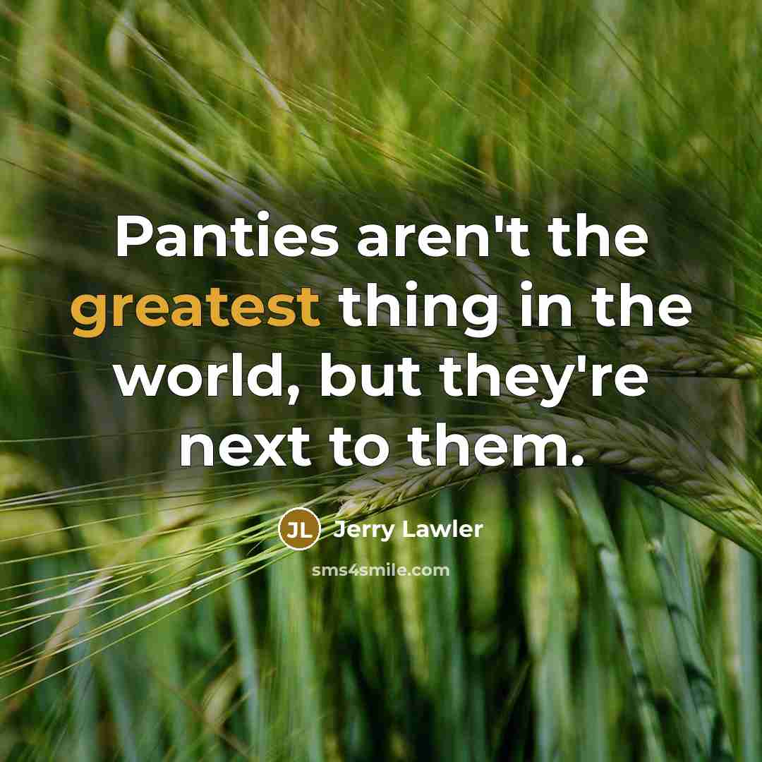 “Panties aren't the greatest thing in the world, but they're…” quote by Jerry Lawler