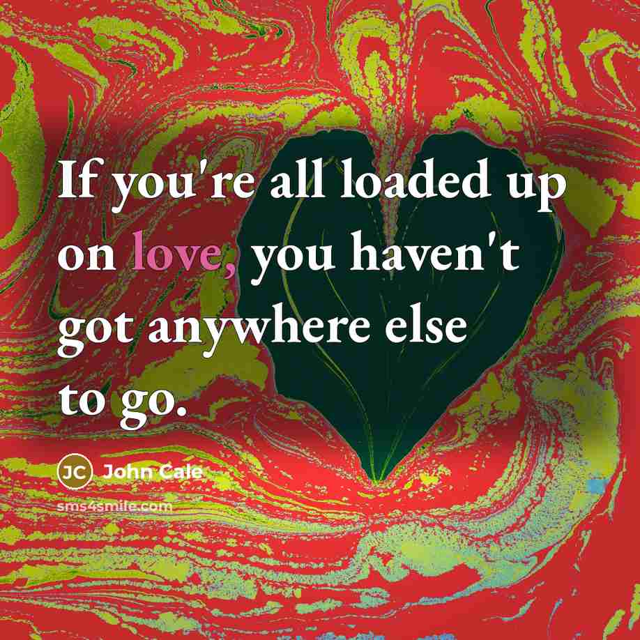 “If you're all loaded up on love, you haven't got…” quote by John Cale