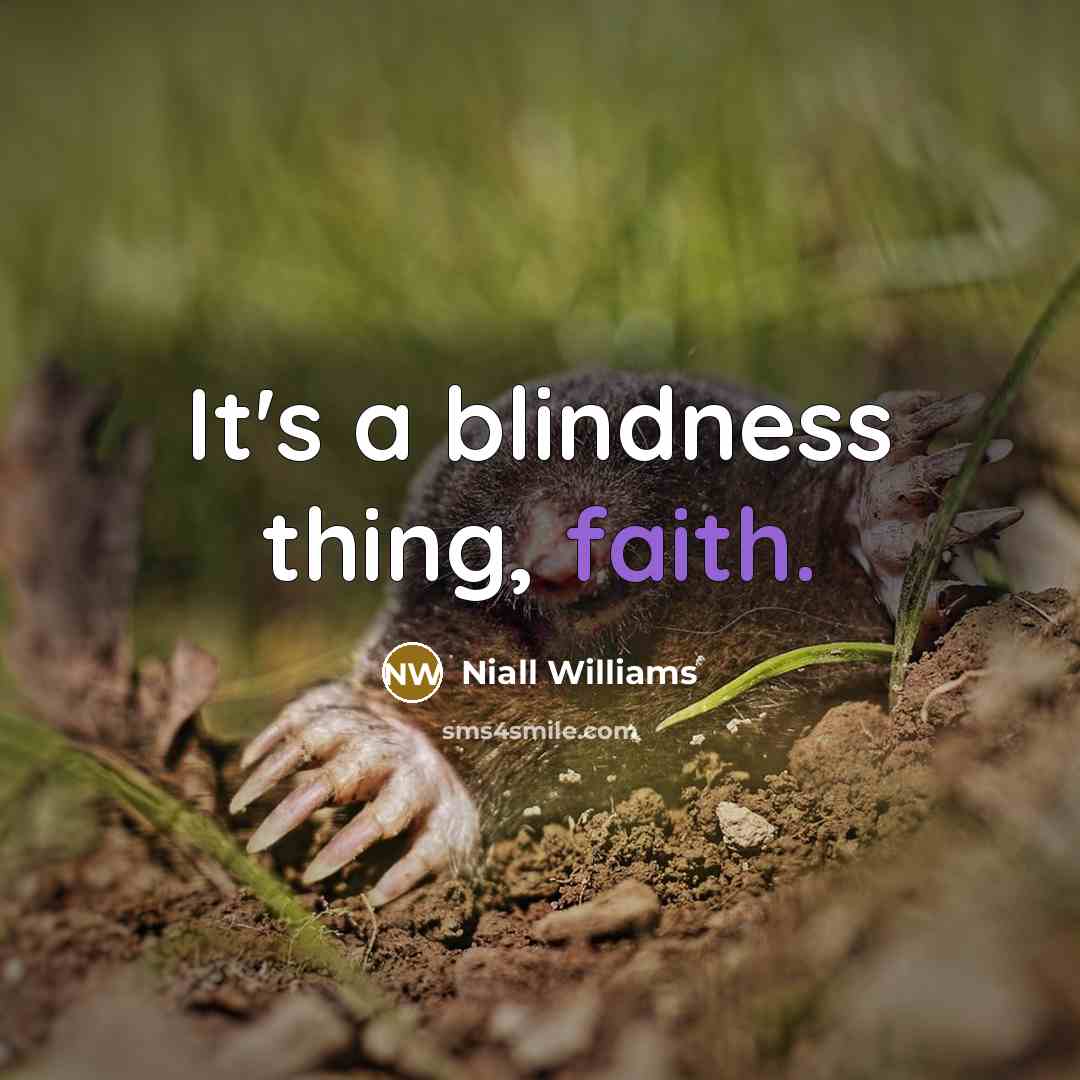 “It's a blindness thing, faith.…” quote by Niall Williams