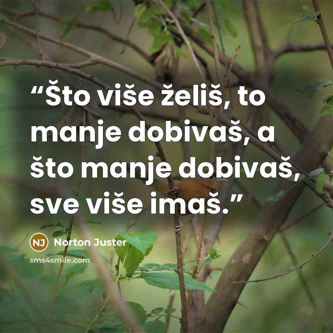 “Što više želiš, to manje dobivaš, a što manje dobivaš, sve više imaš.” quote by Norton Juster