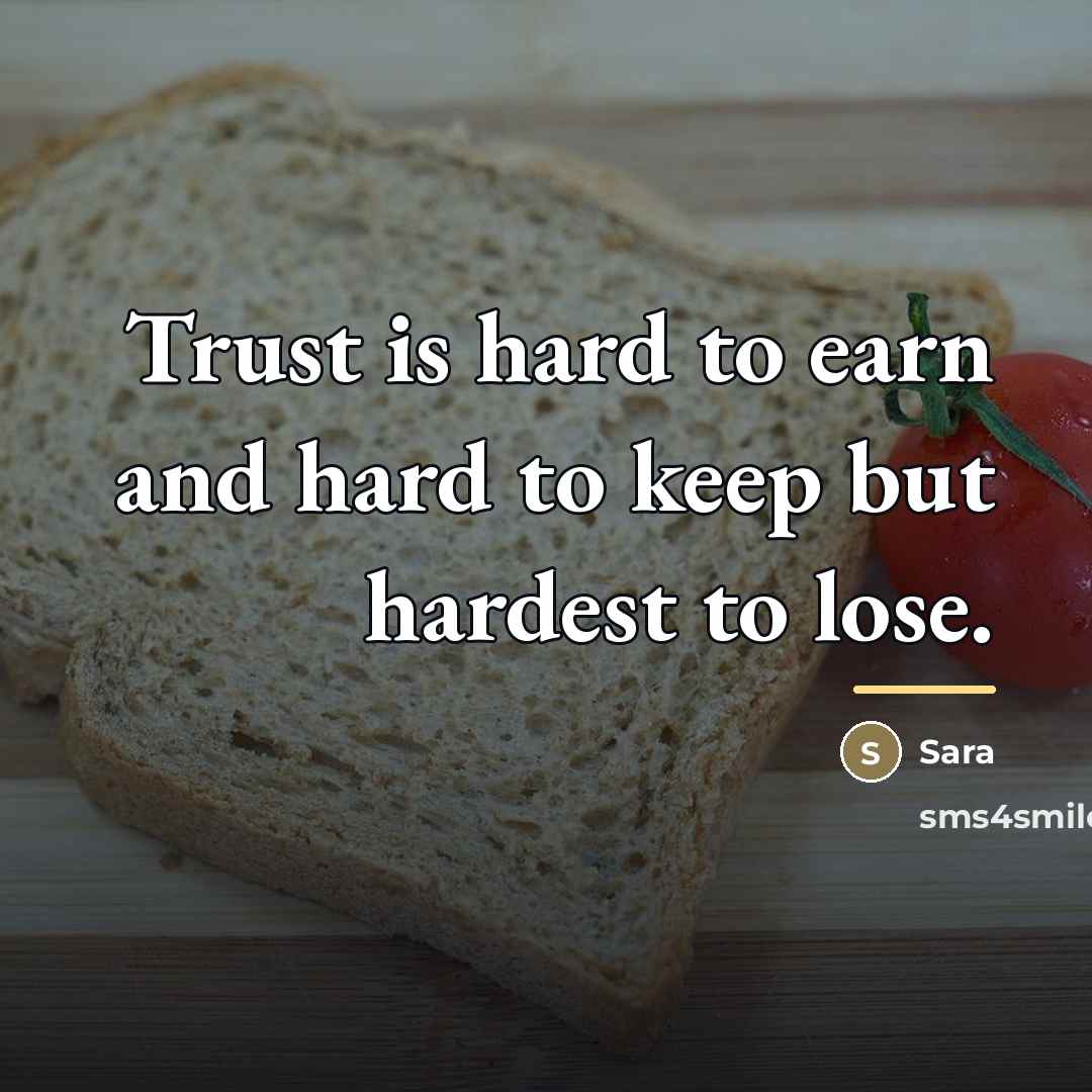 “Trust is hard to earn and hard to keep but…” quote by Sara