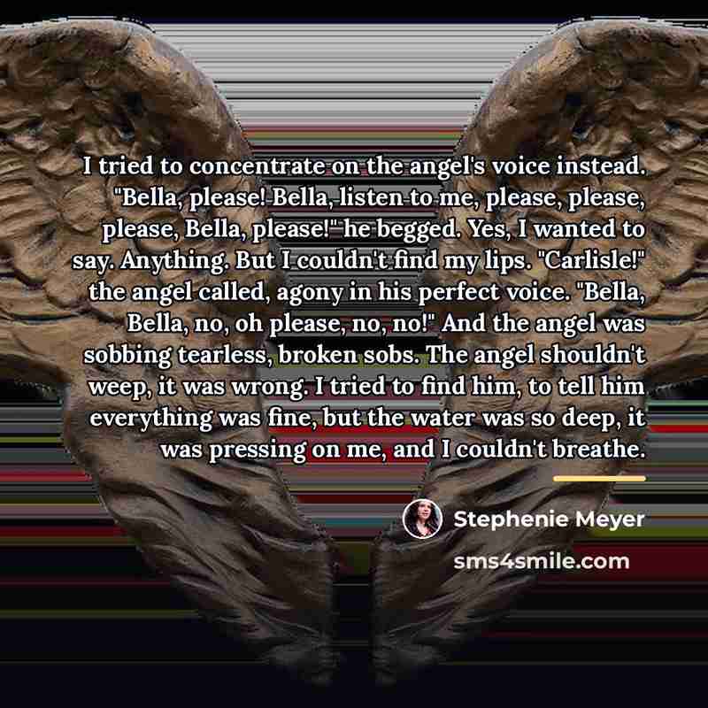 “I tried to concentrate on the angel's voice instead. "Bella,…” quote by Stephenie Meyer