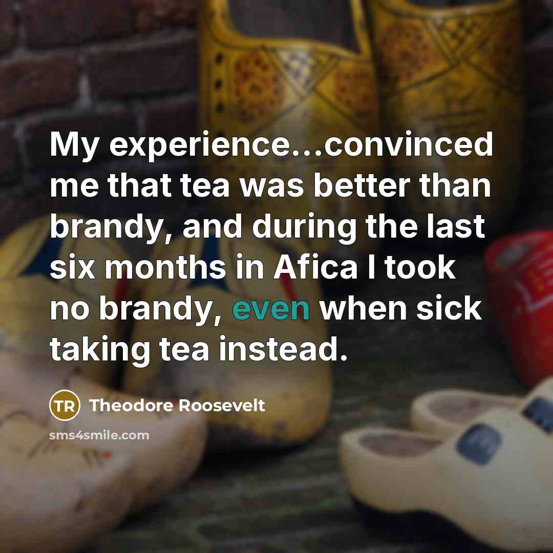 “My experience...convinced me that tea was better than brandy, and…” quote by Theodore Roosevelt