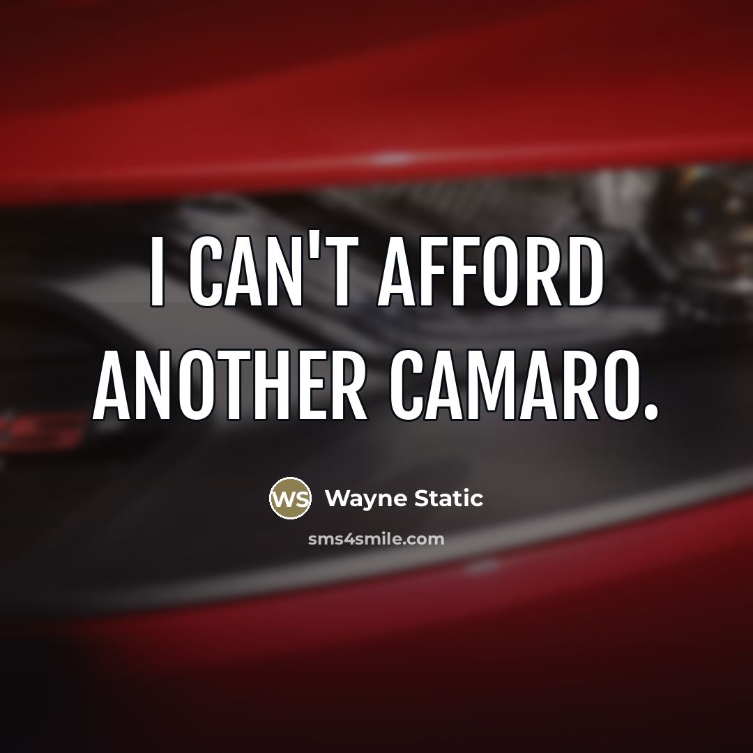 “I can't afford another Camaro.…” quote by Wayne Static