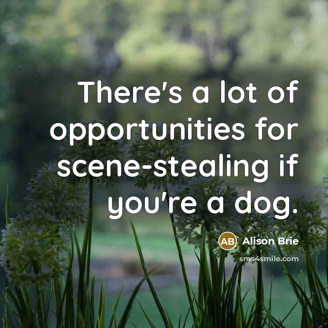 “There's a lot of opportunities for scene-stealing if you're a…” quote by Alison Brie