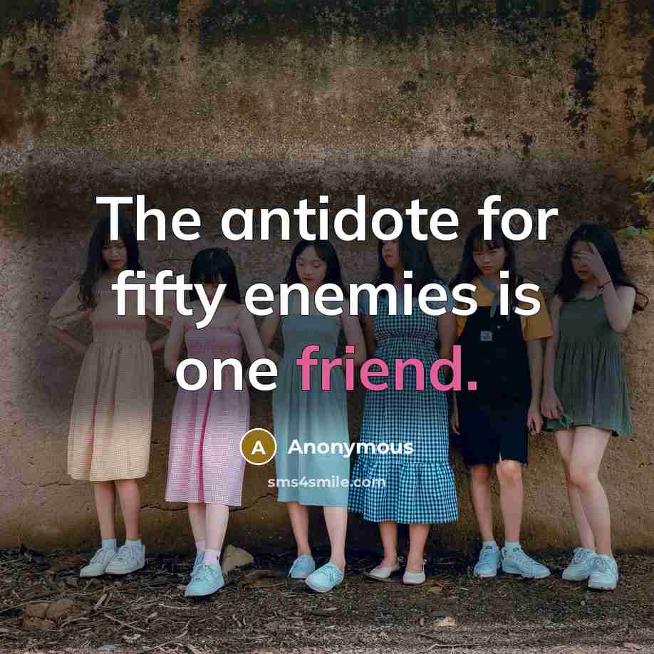 “The antidote for fifty enemies is one friend.…” quote by Anonymous