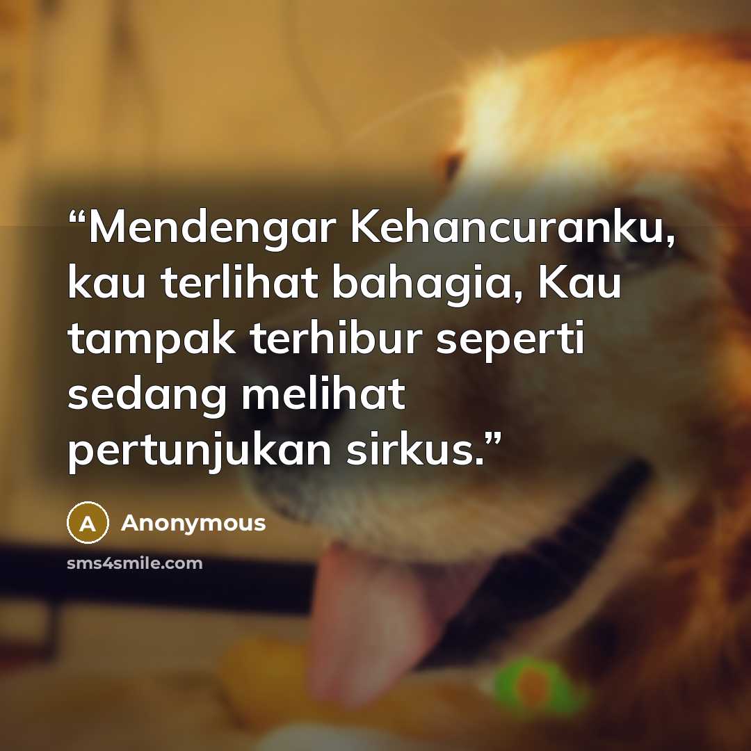 “Mendengar Kehancuranku, kau terlihat bahagia, Kau tampak terhibur seperti sedang melihat pertunjukan sirkus.” quote by Anonymous