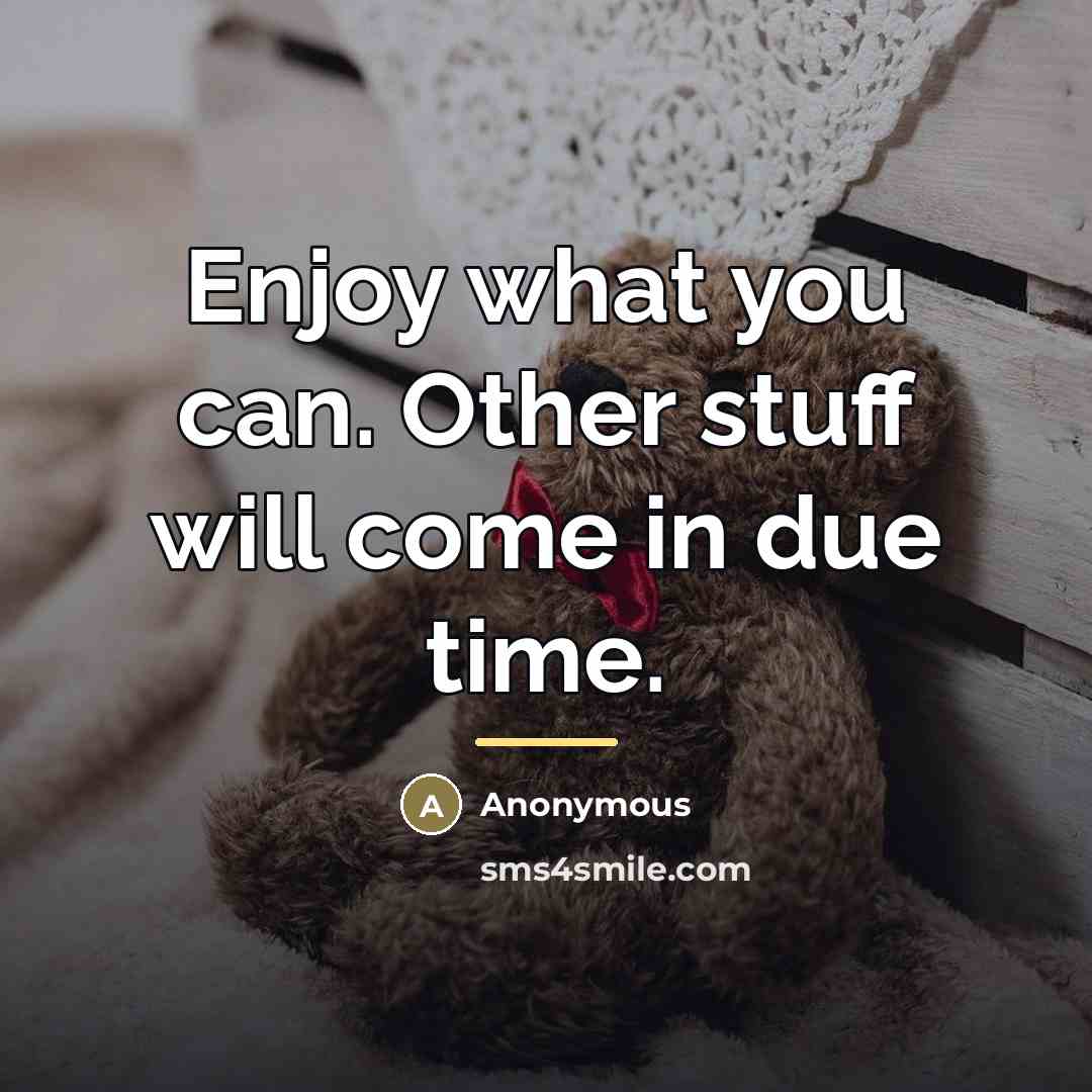 “Enjoy what you can. Other stuff will come in due…” quote by Anonymous