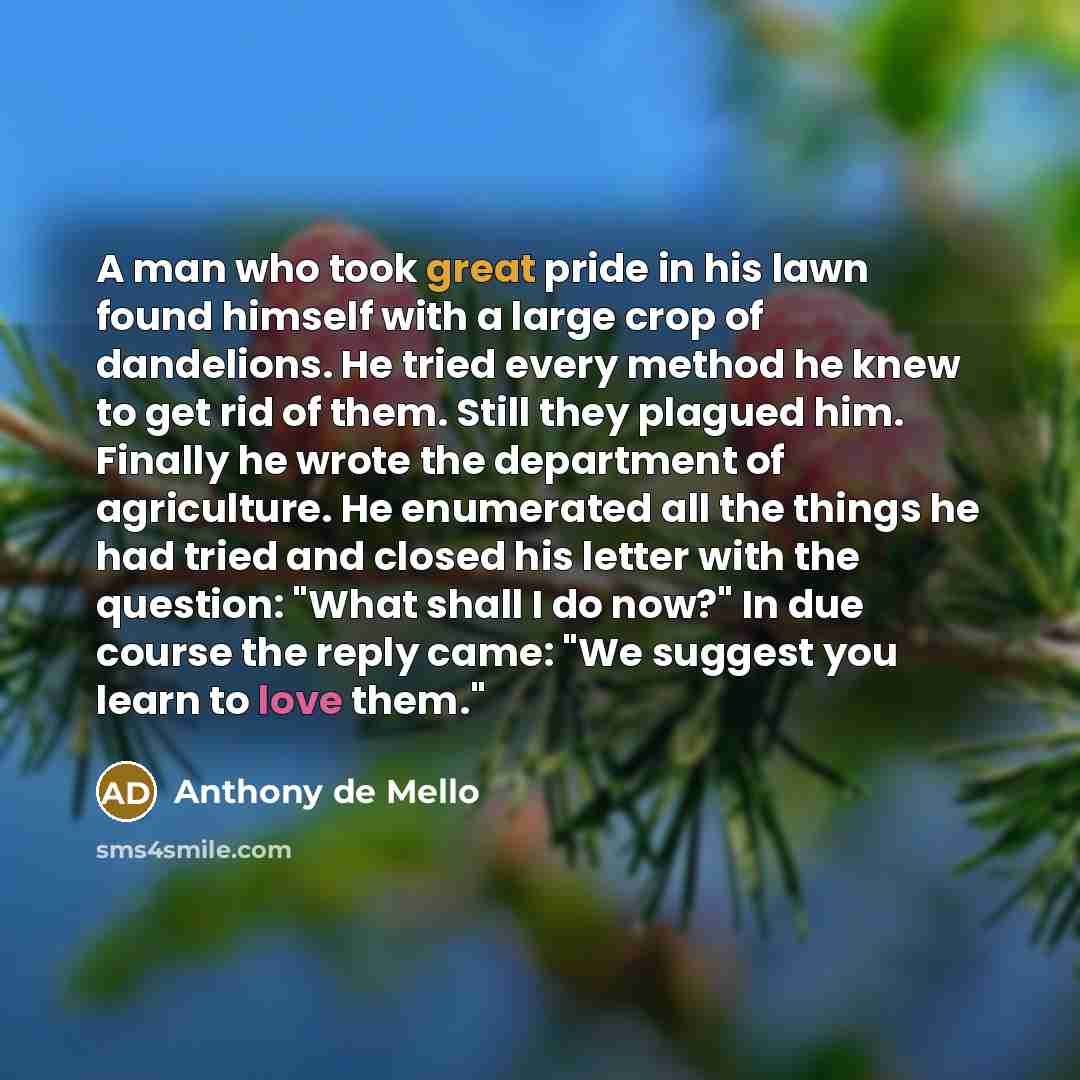 “A man who took great pride in his lawn found…” quote by Anthony de Mello
