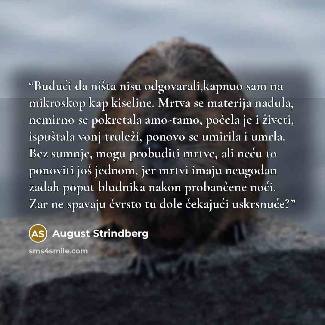 “Budući da ništa nisu odgovarali,kapnuo sam na mikroskop kap kiseline. Mrtva se materija nadula, nemirno se pokretala amo-tamo, počela je i živeti, ispuštala vonj truleži, ponovo se umirila i umrla. Bez sumnje, mogu probuditi mrtve, ali neću to ponoviti još jednom, jer mrtvi imaju neugodan zadah…” quote by August Strindberg