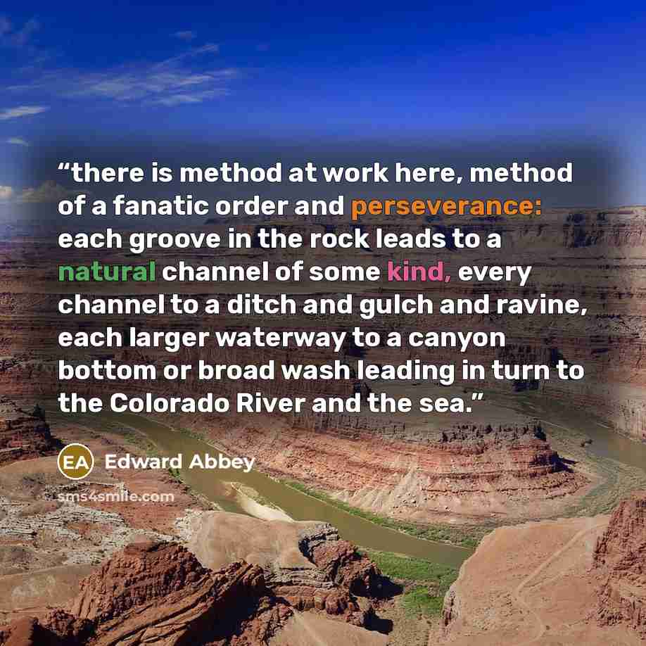 “there is method at work here, method of a fanatic order and perseverance: each groove in the rock leads to a natural channel of some kind, every channel to a ditch and gulch and ravine, each larger waterway to a canyon bottom or broad wash leading in turn to the Colorado River and the sea.” quote by Edward Abbey