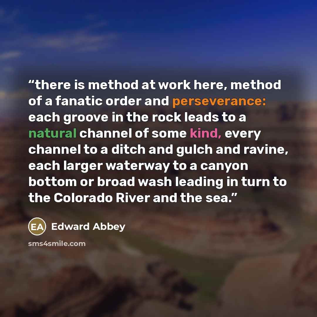 “there is method at work here, method of a fanatic order and perseverance: each groove in the rock leads to a natural channel of some kind, every channel to a ditch and gulch and ravine, each larger waterway to a canyon bottom or broad wash leading in turn to the Colorado River and the sea.” quote by Edward Abbey