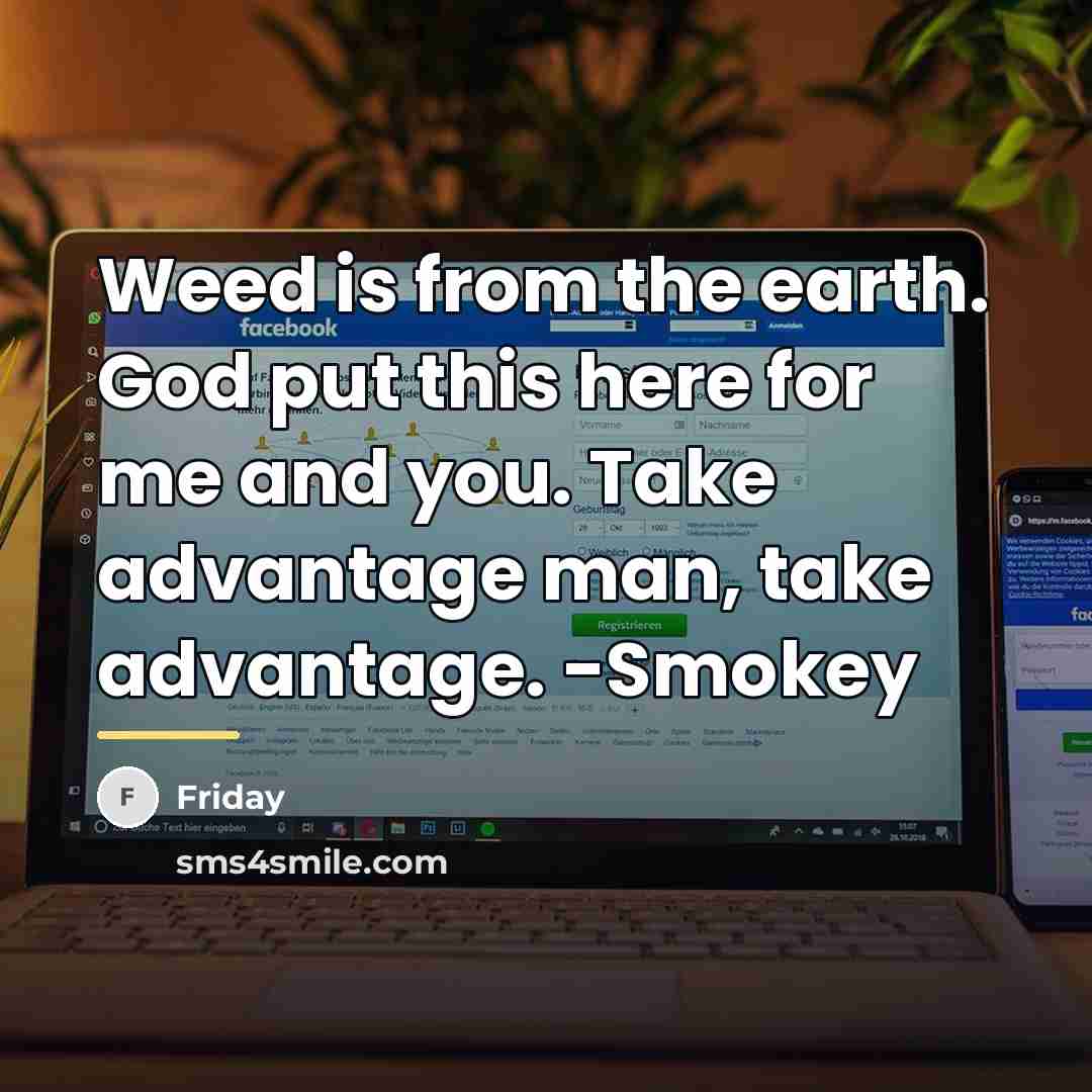 “Weed is from the earth. God put this here for…” quote by Friday