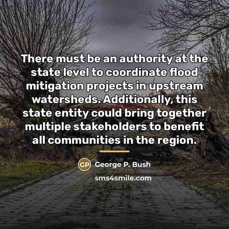 “There must be an authority at the state level to…” quote by George P. Bush